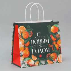 Изображение Пакет ламинированный «Новогодняя открытка», MS 18 × 23 × 10 см