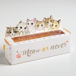 Изображение Коробочка для макарун Meow or never, 18 х 5,5 х 5,5 см