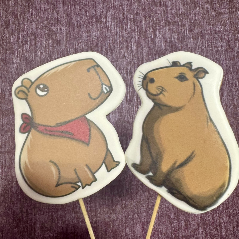 Изображение Пряник Капибара в ассортименте