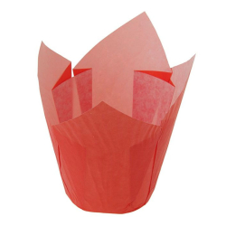 Капсула тюльпан красная Изображение Капсула тюльпан красная