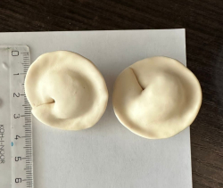 3Д Молд Пельмени, 2 шт 3,5-4 см ТМ Лавка Кондитера Изображение 3Д Молд Пельмени, 2 шт 3,5-4 см ТМ Лавка Кондитера