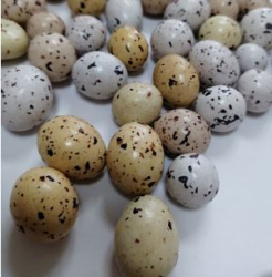 Изображение Шоколадное драже Перепелиные Яйца (молочный шоколад с воздушным рисом), 50 Гр